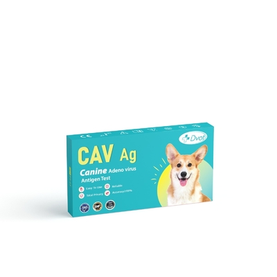 Disposable Canine Adeno Virus Antigen Test with CE and ISO Certification 99% Accuracy
